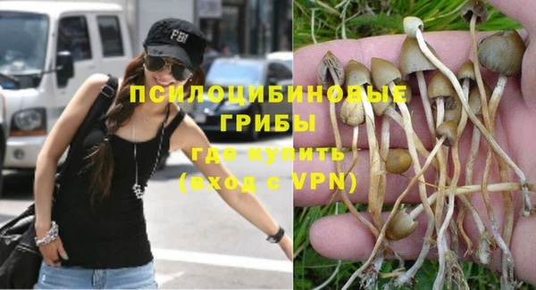 мдпв Горнозаводск