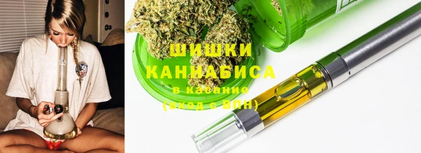мдпв Горнозаводск