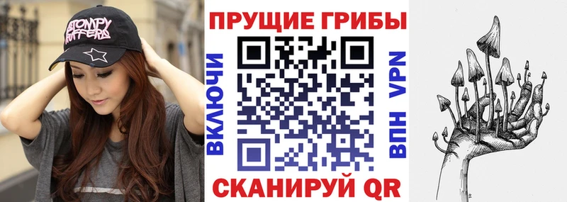 Псилоцибиновые грибы Psilocybine cubensis купить наркотики сайты Далматово